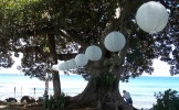 lighting-island-rents-maui-1