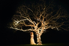 lighting-island-rents-maui-115