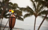 lighting-island-rents-maui-64