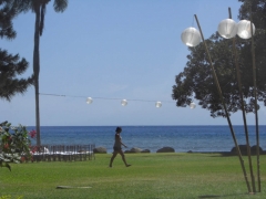 lighting-island-rents-maui-79