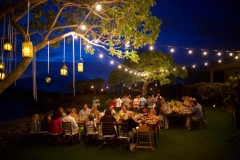 lighting-island-rents-maui-91
