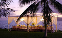 Canopies & Furniture